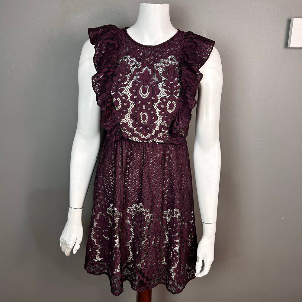 Whimsigoth‎ Dark Romantic dress XS all over lace purple babydoll Grunge Parker